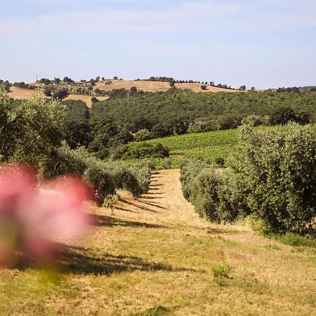 Il Alloggio per agriturismo